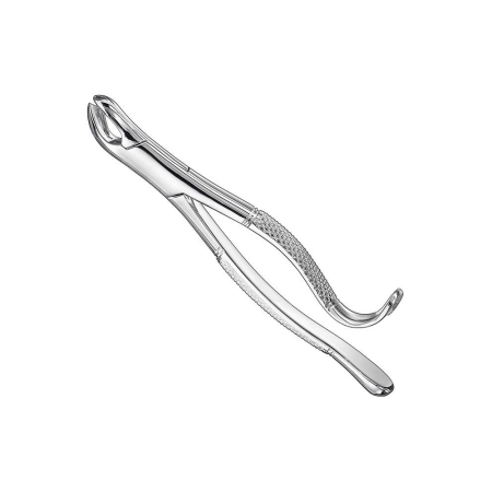 Extracting Forceps